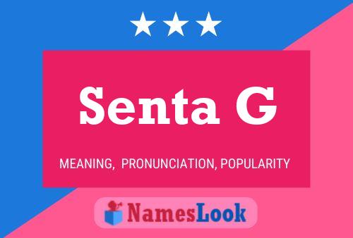 Senta G 名字海报