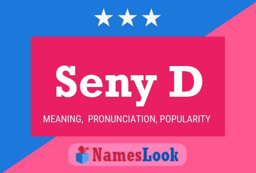 Seny D 名字海报