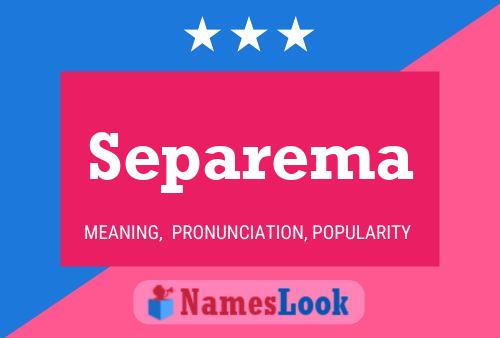 Separema 名字海报