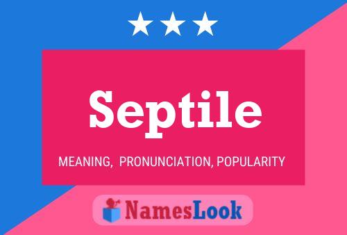 Septile 名字海报