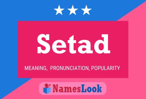 Setad 名字海报