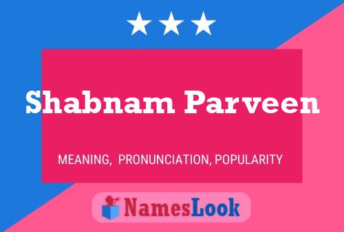 Shabnam Parveen 名字海报