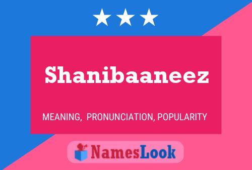 Shanibaaneez 名字海报