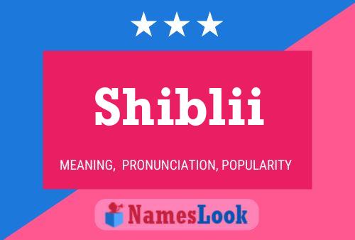 Shiblii 名字海报