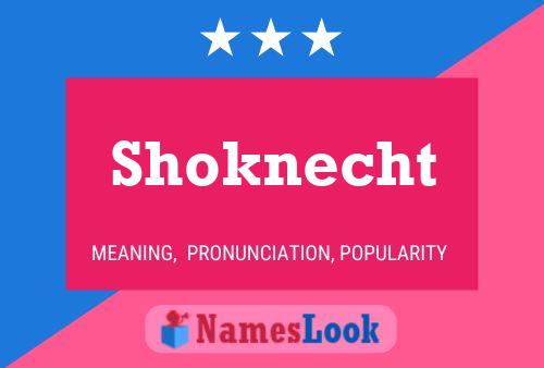 Shoknecht 名字海报