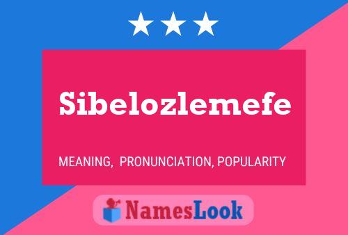 Sibelozlemefe 名字海报