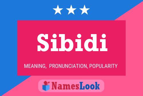 Sibidi 名字海报