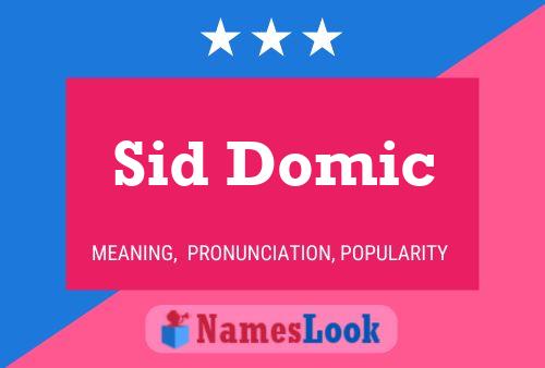 Sid Domic 名字海报