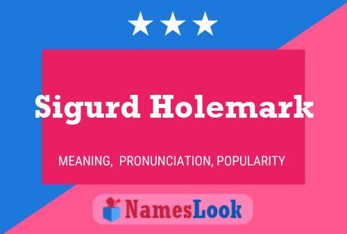 Sigurd Holemark 名字海报