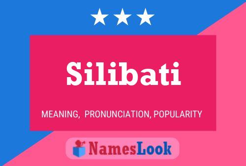 Silibati 名字海报