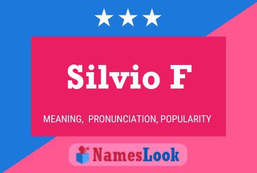 Silvio F 名字海报