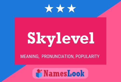 Skylevel 名字海报