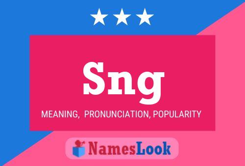 Sng 名字海报