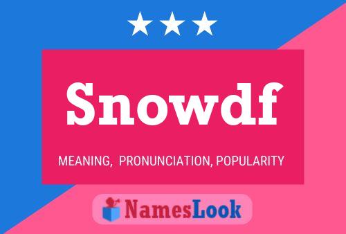 Snowdf 名字海报