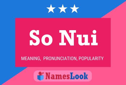 So Nui 名字海报