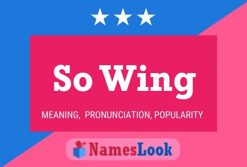 So Wing 名字海报