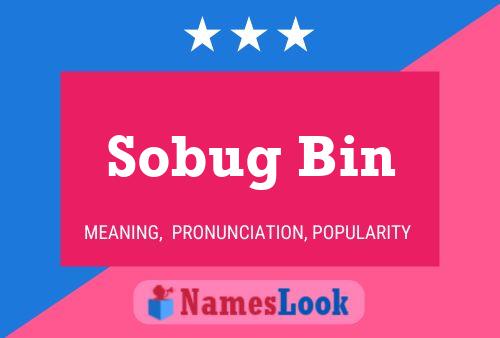 Sobug Bin 名字海报