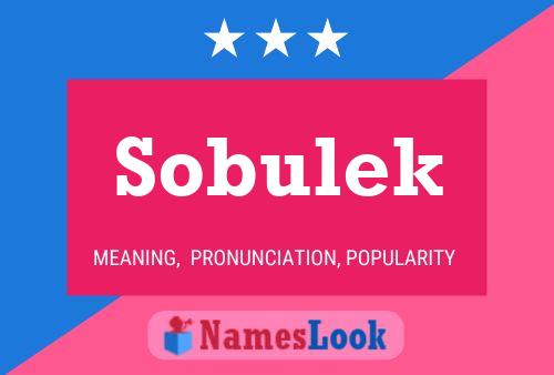 Sobulek 名字海报