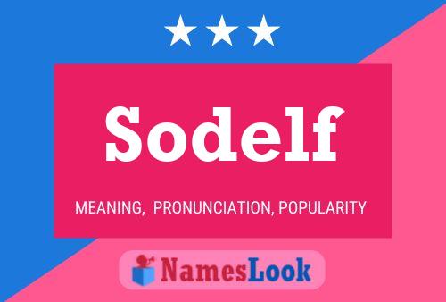 Sodelf 名字海报