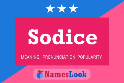 Sodice 名字海报