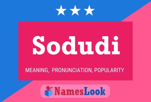 Sodudi 名字海报