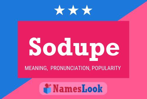 Sodupe 名字海报