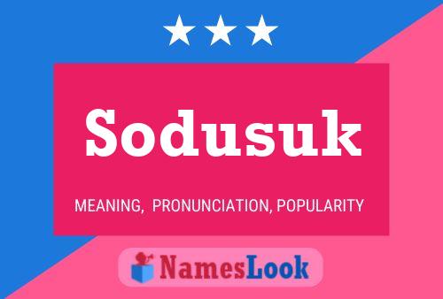 Sodusuk 名字海报