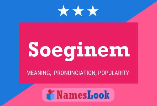 Soeginem 名字海报