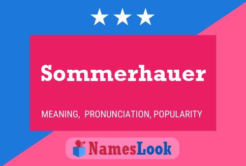 Sommerhauer 名字海报