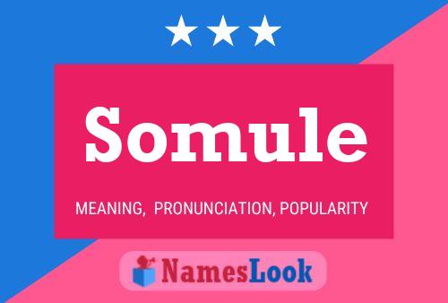 Somule 名字海报