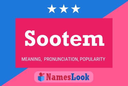 Sootem 名字海报