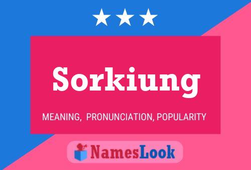 Sorkiung 名字海报