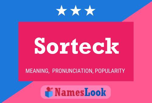 Sorteck 名字海报