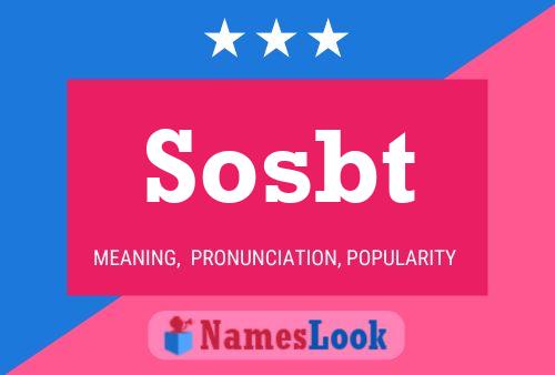 Sosbt 名字海报