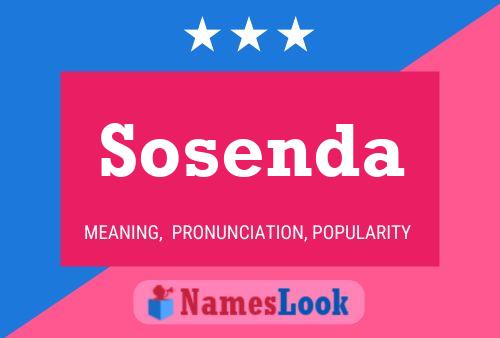 Sosenda 名字海报