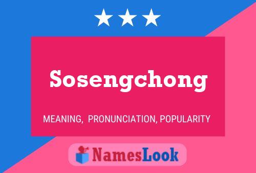 Sosengchong 名字海报