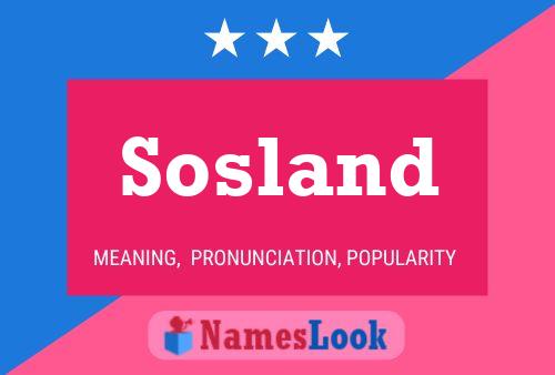 Sosland 名字海报