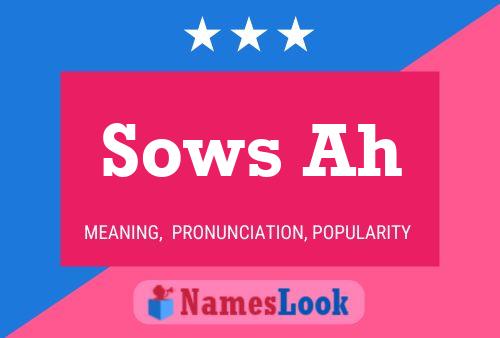 Sows Ah 名字海报