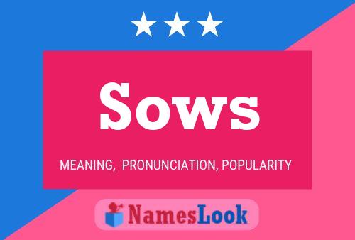 Sows 名字海报