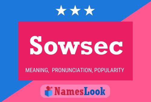 Sowsec 名字海报