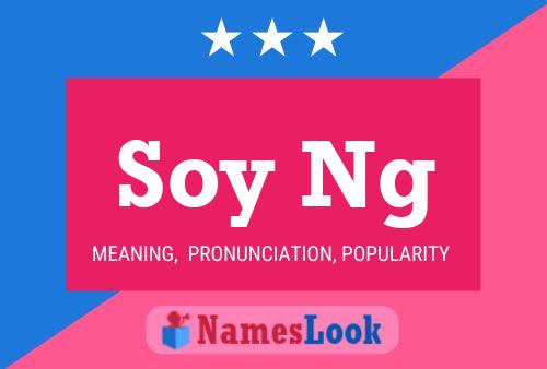 Soy Ng 名字海报