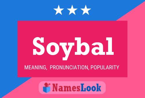 Soybal 名字海报