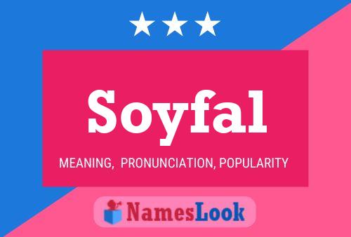 Soyfal 名字海报