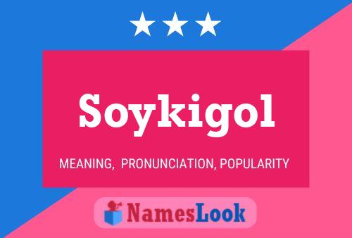 Soykigol 名字海报