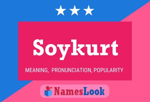 Soykurt 名字海报