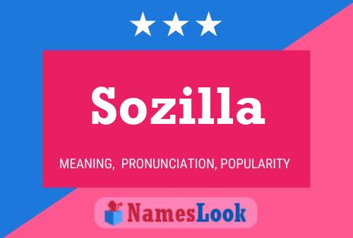 Sozilla 名字海报