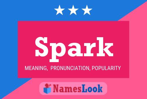 Spark 名字海报