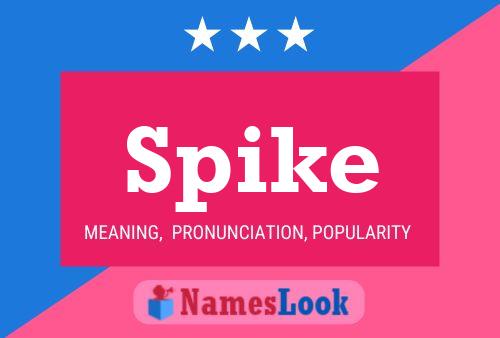 Spike 名字海报