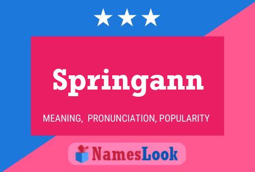 Springann 名字海报