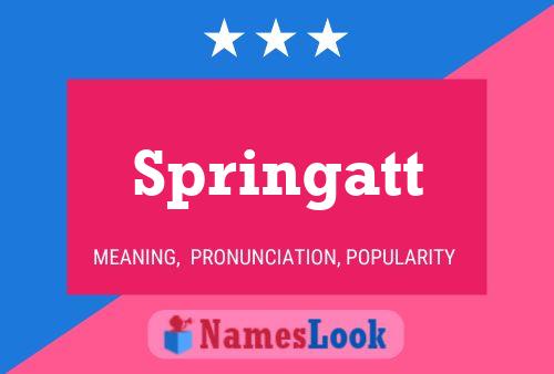 Springatt 名字海报